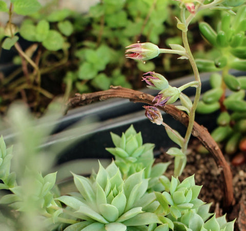 Say yes to green please!