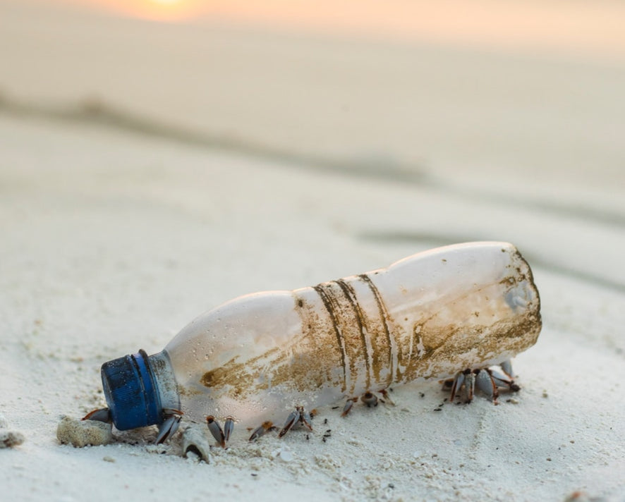 Op naar een platicvrije wereld. Help jij mee?