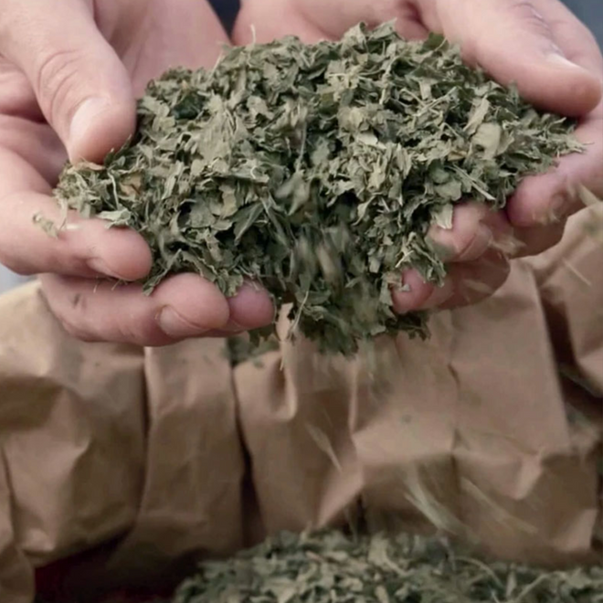 Wilder Land (on)Kruidenthee