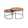 Salontafel set Bronx staal (2 stuks)